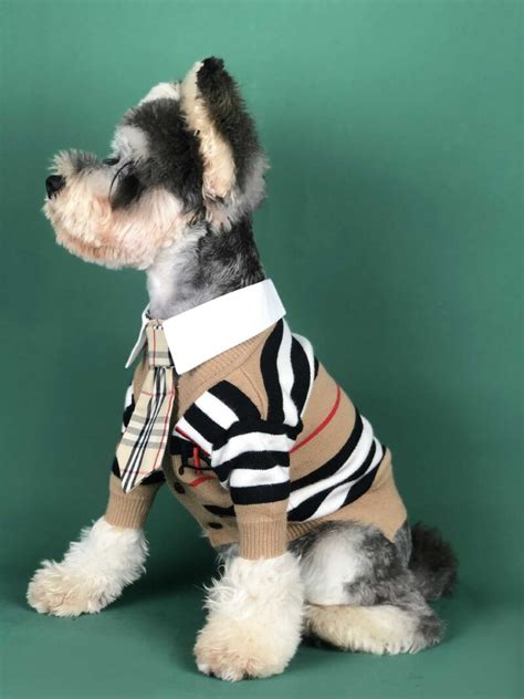 cheap designer dog clothes|designer dog clothes near me.